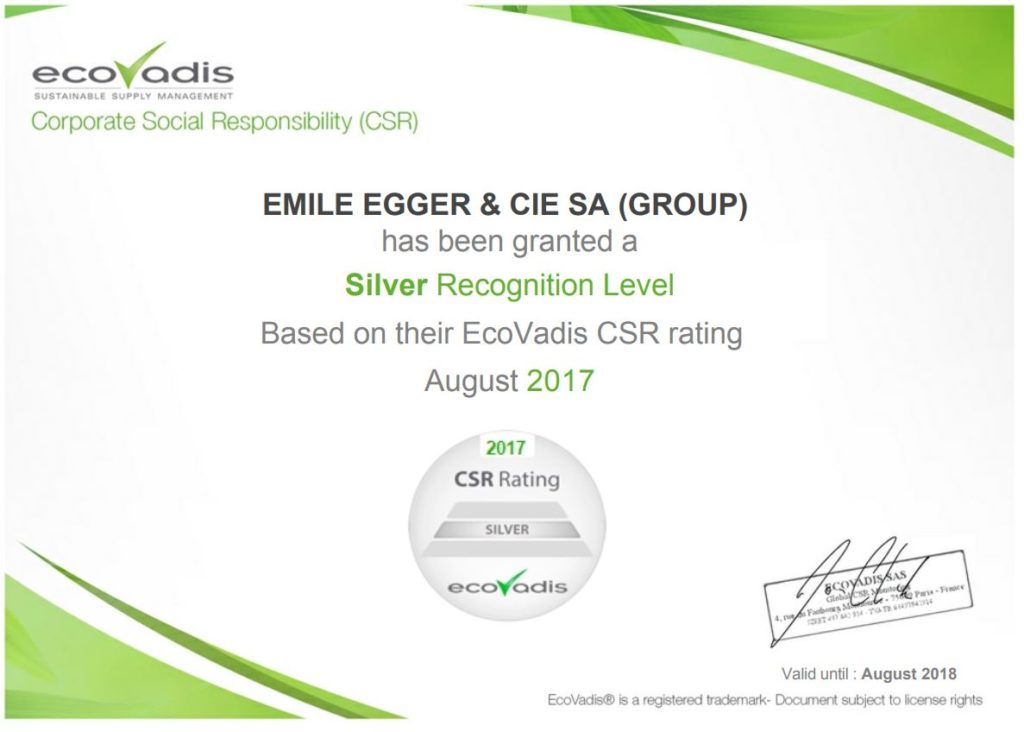 Corporate Social Responsibility Certificate (CSR) Egger Pumps